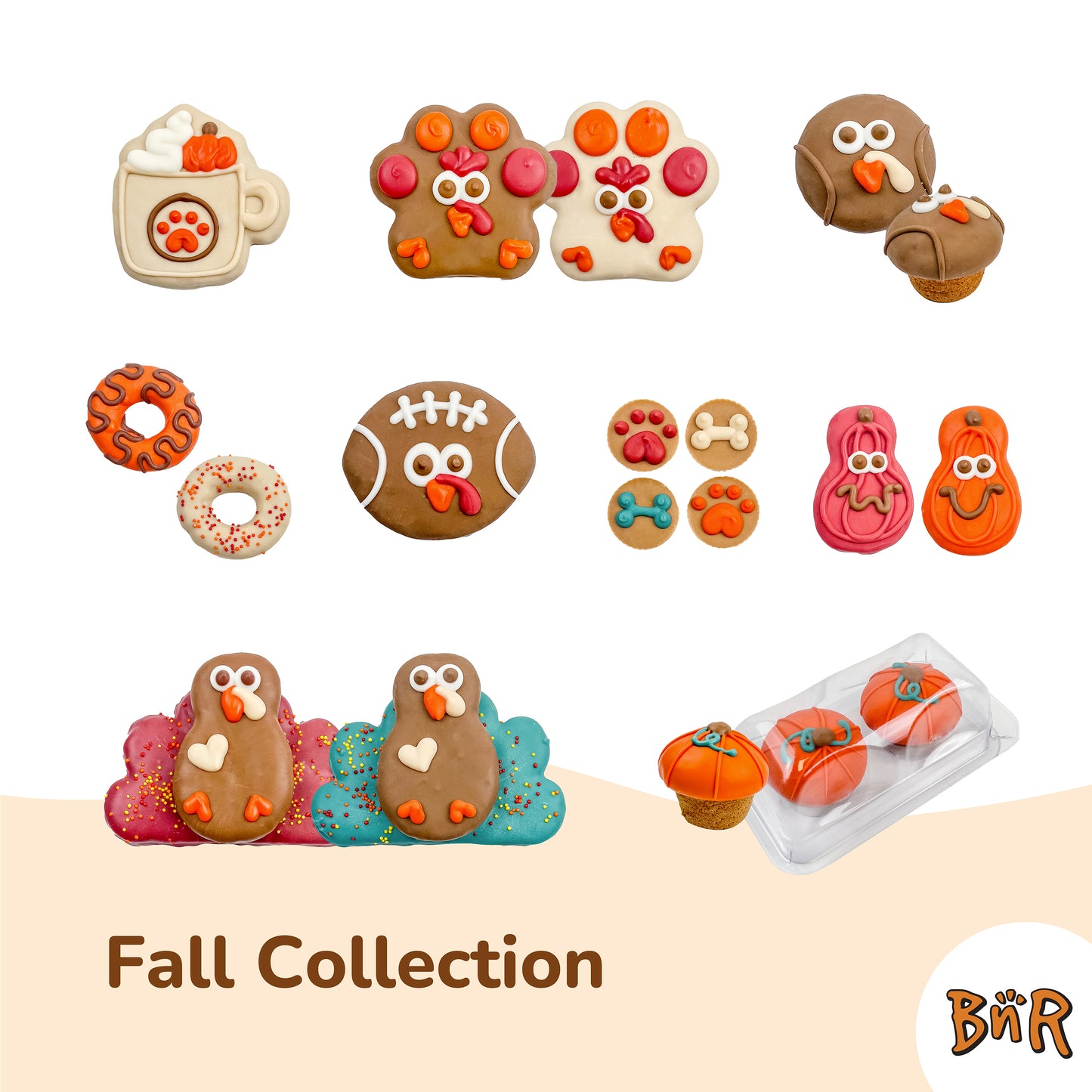 Gourds on the Go  | Fall