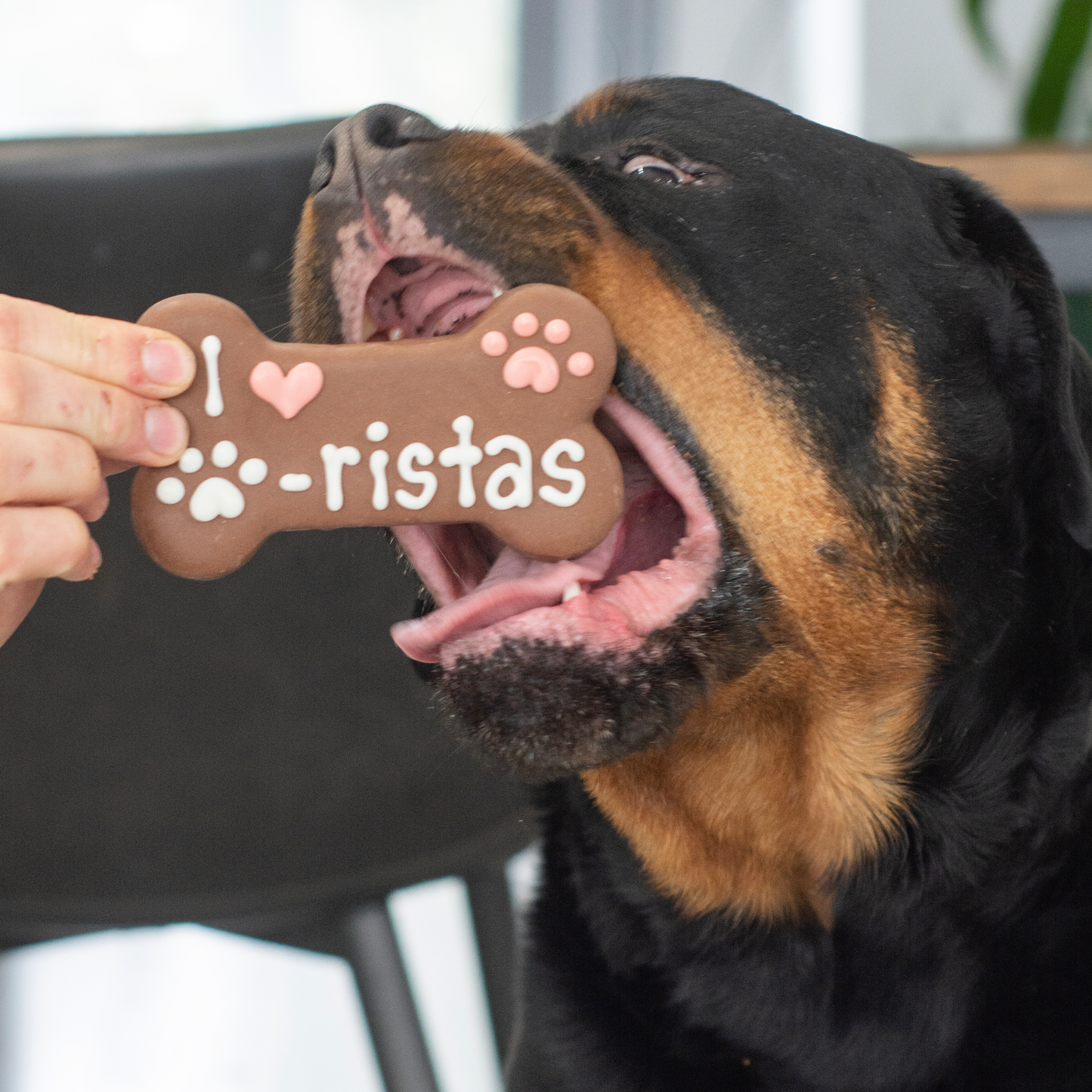 I Love Paw-ristas Bone | Café