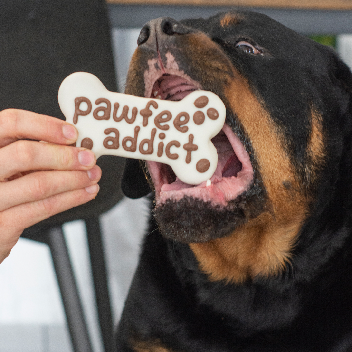 Pawfee Addict Bone | Café
