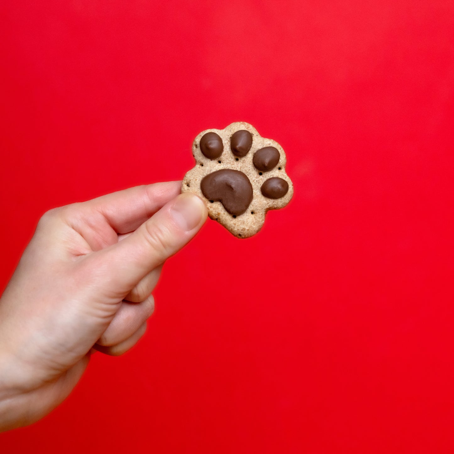 Mini Paws | Canine Classics