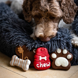 Chew on this! Toy | Canine Classics