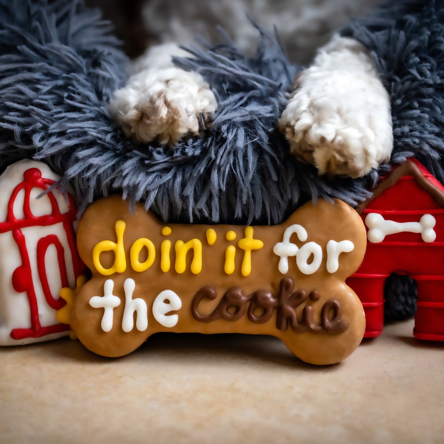 Doin' It For The Cookie 6" Bone | Canine Classics