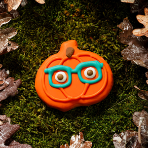 Pumpkins with Specs Appeal  | Fall